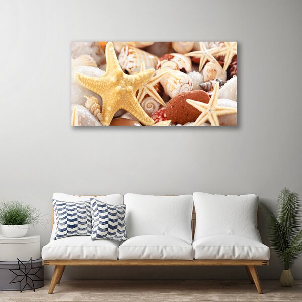 Obraz Canvas Hviezdice mušle pláž 100x50 cm