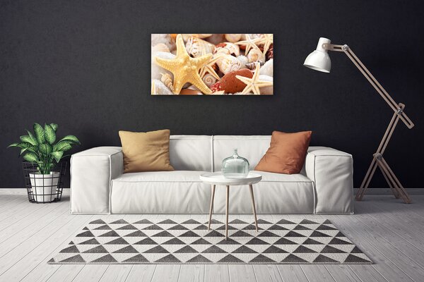 Obraz Canvas Hviezdice mušle pláž 100x50 cm