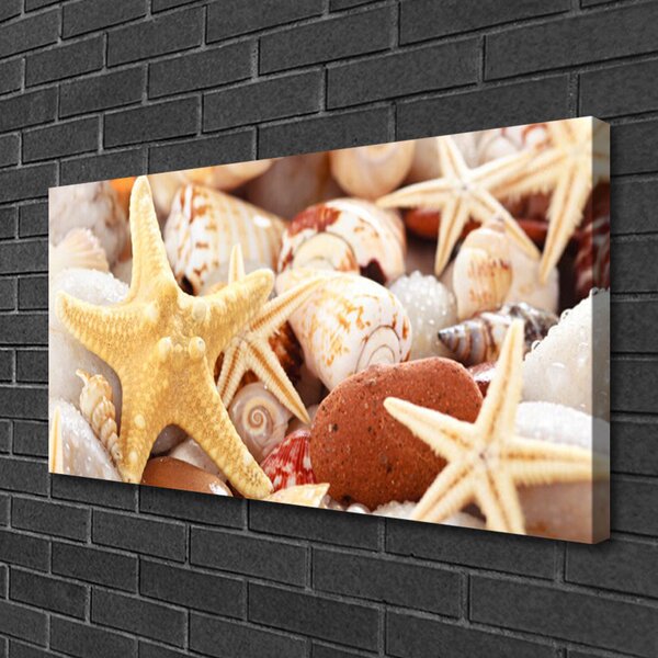 Obraz Canvas Hviezdice mušle pláž 100x50 cm