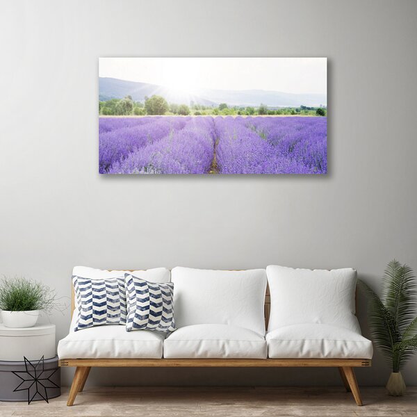 Obraz Canvas Pole levanduľa príroda lúka 100x50 cm