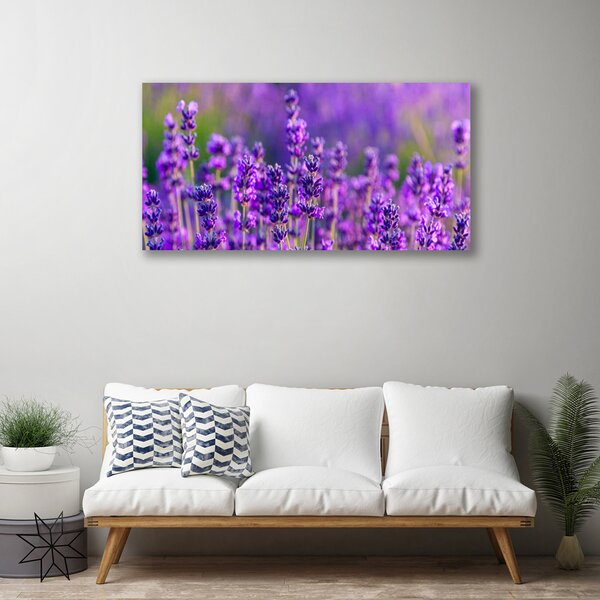 Obraz Canvas Pole fialová levanduľa 100x50 cm