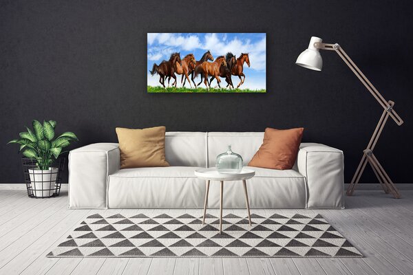 Obraz Canvas Cválajúci kone na pastvine 100x50 cm