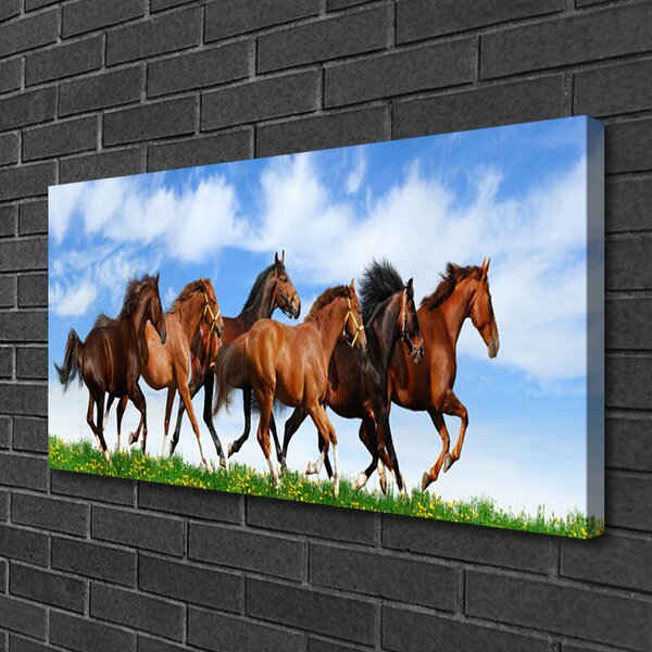 Obraz Canvas Cválajúci kone na pastvine 100x50 cm