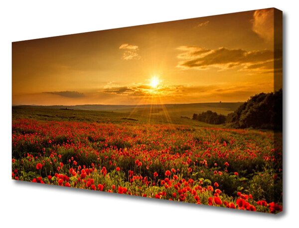Obraz Canvas Pole maky západ slnka lúka 125x50 cm