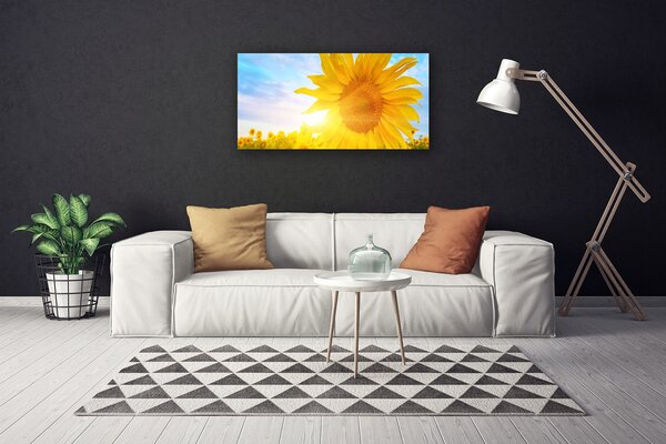 Obraz Canvas Slnečnica kvet slnko 100x50 cm