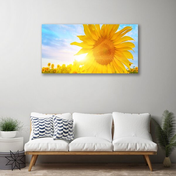 Obraz Canvas Slnečnica kvet slnko 100x50 cm
