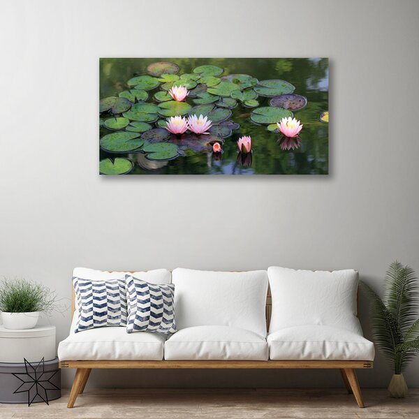 Obraz Canvas Vodné lilie rybník príroda 100x50 cm