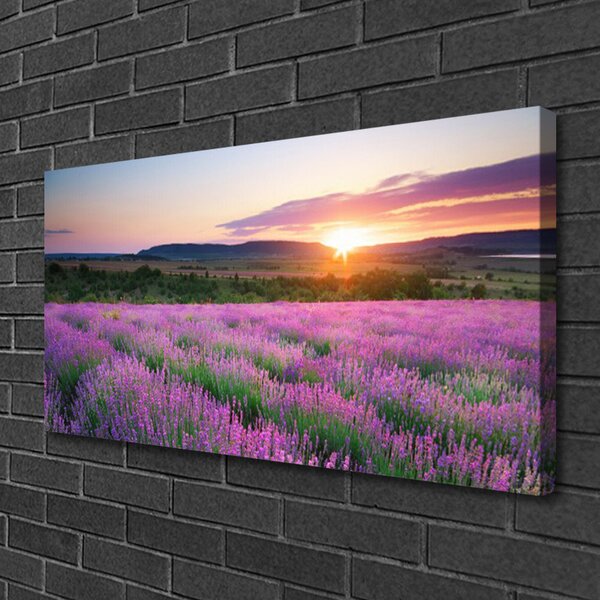 Obraz Canvas Levanduľa pole lúka západ 100x50 cm