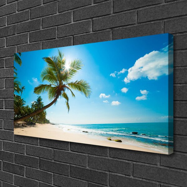 Obraz Canvas Palma strom pláž krajina 100x50 cm