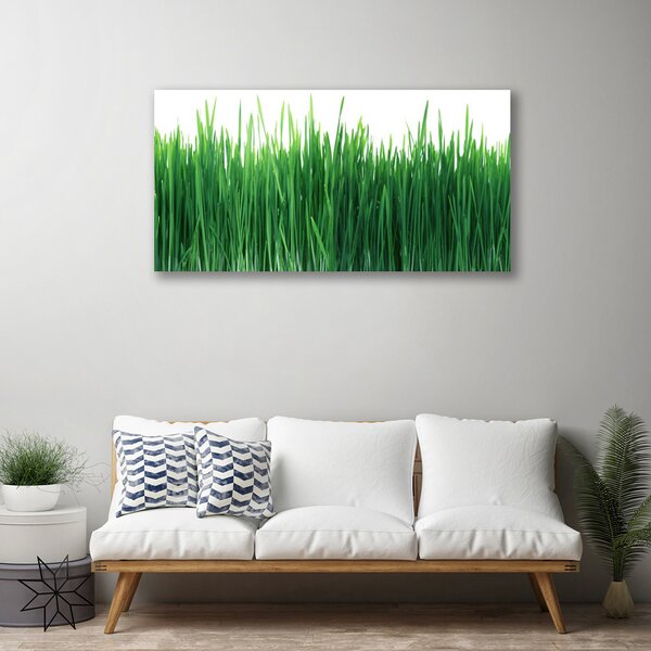 Obraz Canvas Tráva príroda rastlina 100x50 cm