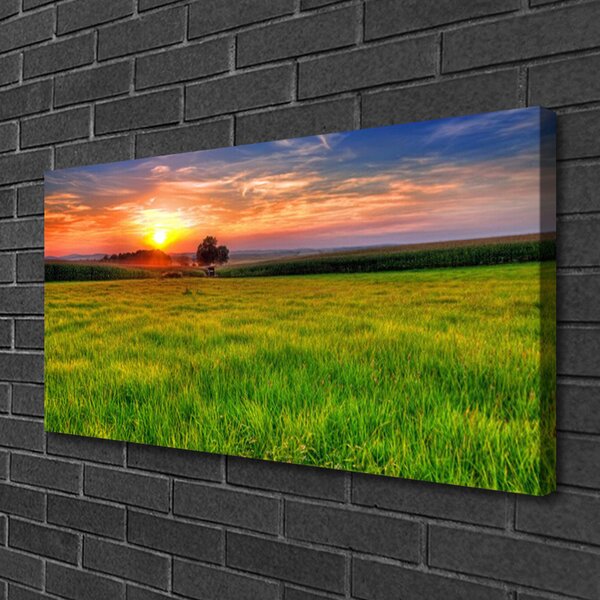 Obraz Canvas Lúka slnko príroda 100x50 cm