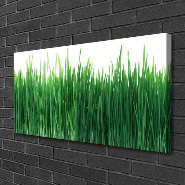 Obraz Canvas Tráva príroda rastlina 100x50 cm