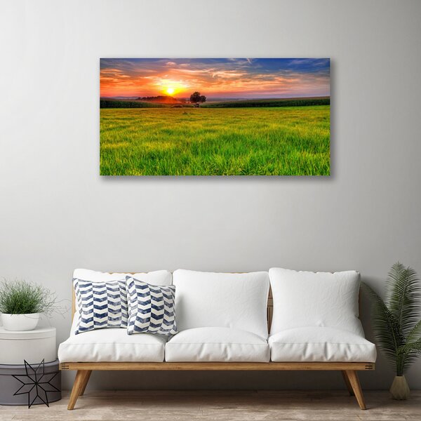Obraz Canvas Lúka slnko príroda 100x50 cm