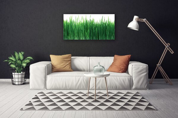 Obraz Canvas Tráva príroda rastlina 100x50 cm