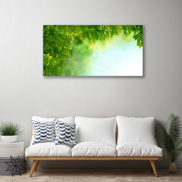 Obraz Canvas Listy príroda rastlina 100x50 cm