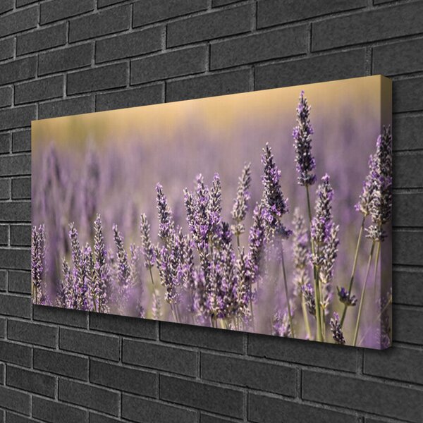 Obraz Canvas Kvety rastlina príroda 100x50 cm