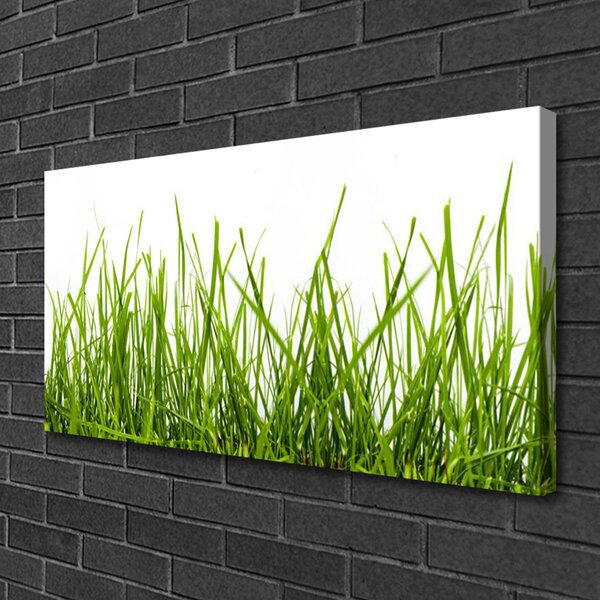 Obraz Canvas Tráva príroda rastlina 100x50 cm