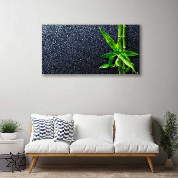 Obraz Canvas Bambus stonka rastlina príroda 100x50 cm