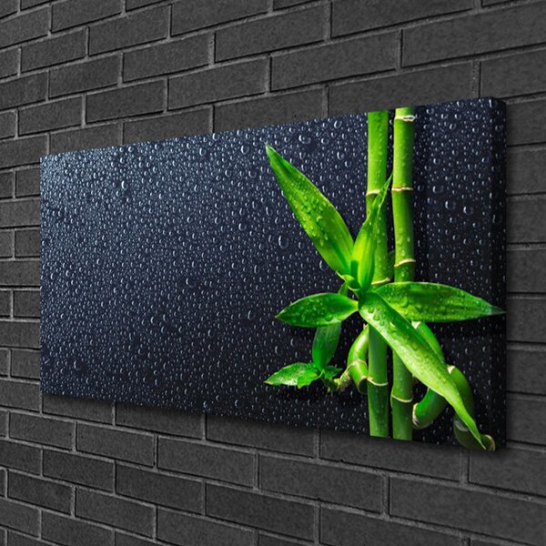 Obraz Canvas Bambus stonka rastlina príroda 100x50 cm