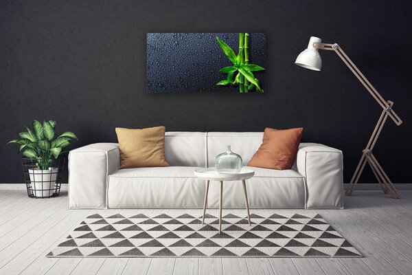 Obraz Canvas Bambus stonka rastlina príroda 100x50 cm
