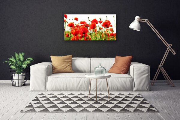 Obraz Canvas Maky rastlina príroda 100x50 cm