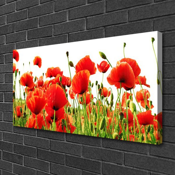Obraz Canvas Maky rastlina príroda 100x50 cm