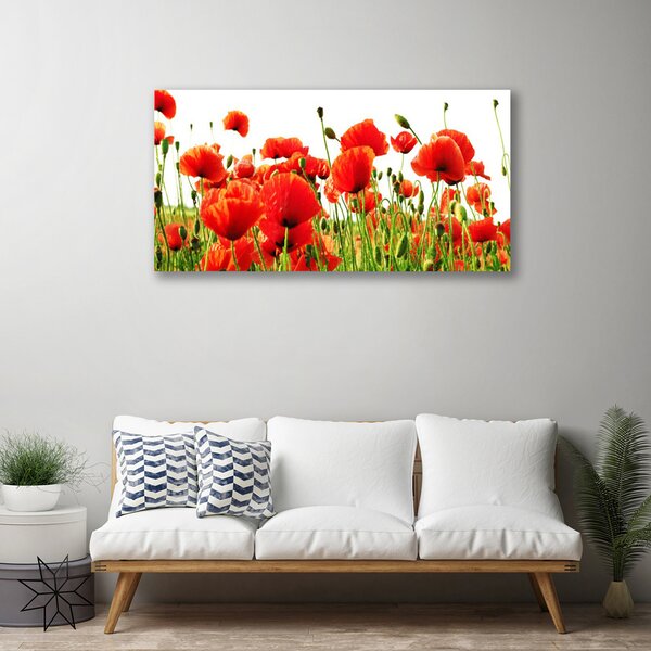 Obraz Canvas Maky rastlina príroda 100x50 cm