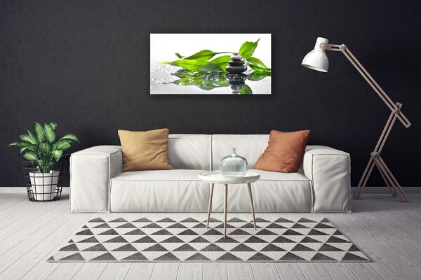 Obraz Canvas Kamene listy umenie 100x50 cm