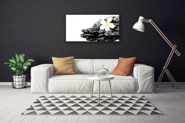 Obraz Canvas Kvety kamene umenie 100x50 cm