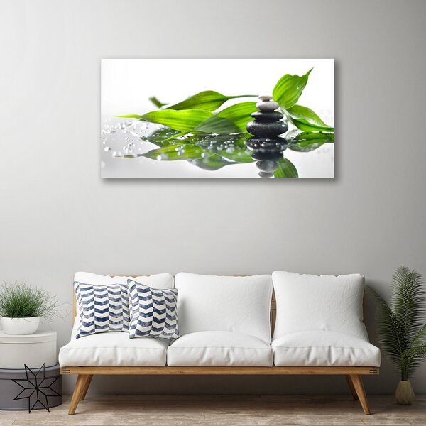 Obraz Canvas Kamene listy umenie 100x50 cm