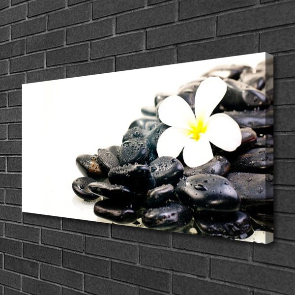 Obraz Canvas Kvety kamene umenie 100x50 cm