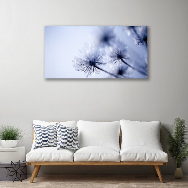 Obraz Canvas Púpava rastlina 100x50 cm