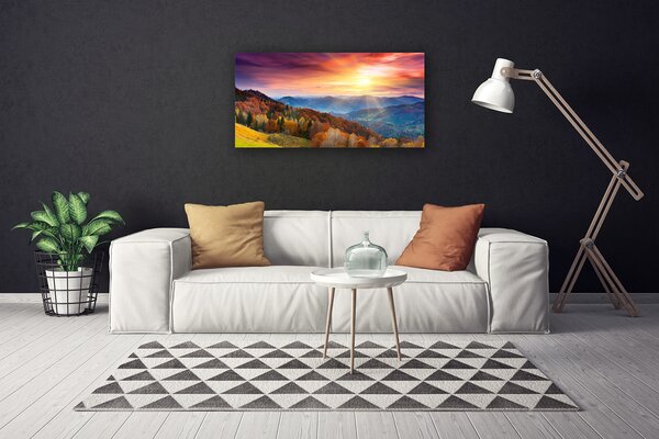 Obraz Canvas Hora les slnko krajina 100x50 cm