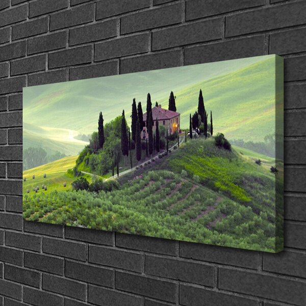 Obraz Canvas Lúka stromy príroda 100x50 cm