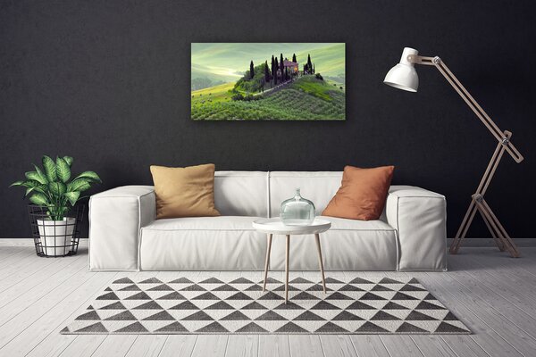 Obraz Canvas Lúka stromy príroda 100x50 cm
