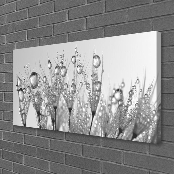 Obraz Canvas Abstrakcie rastlina príroda 100x50 cm