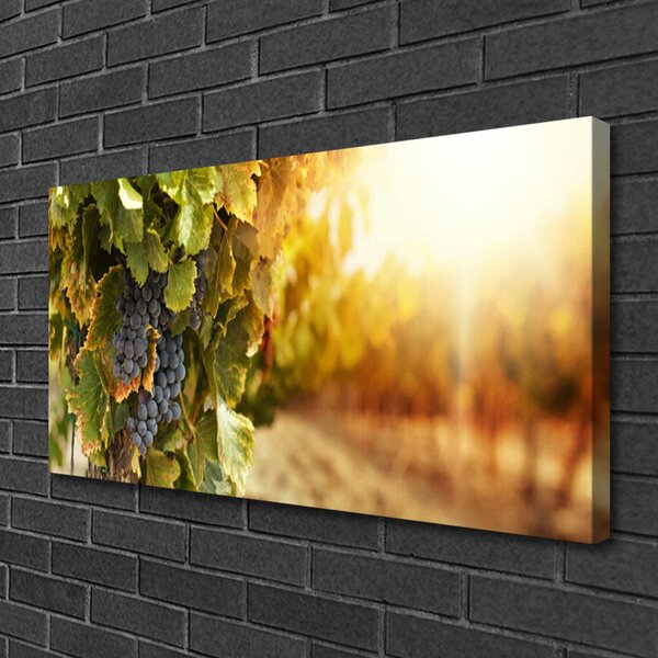 Obraz Canvas Hrozno listy kuchyňa 100x50 cm