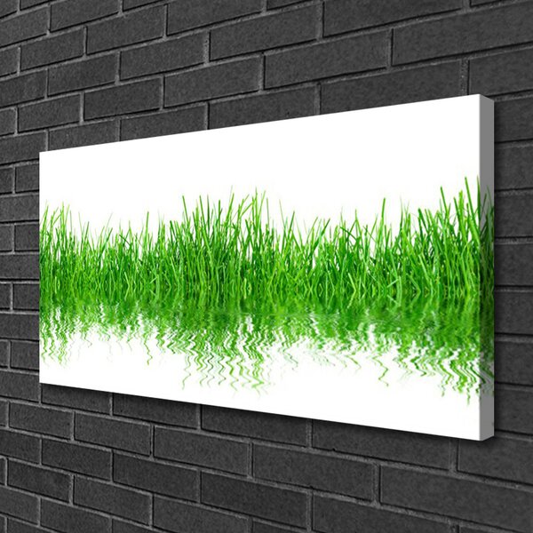 Obraz Canvas Tráva rastlina príroda 100x50 cm
