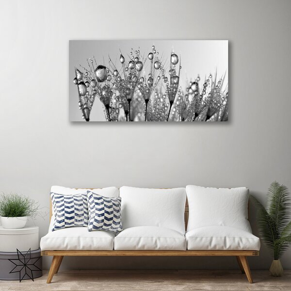 Obraz Canvas Abstrakcie rastlina príroda 100x50 cm