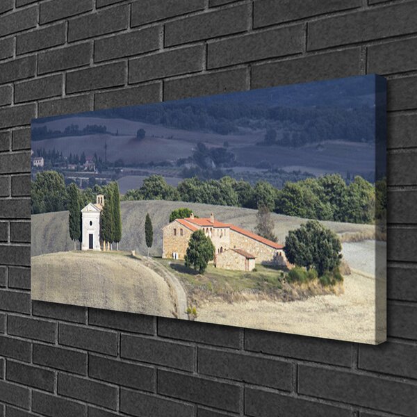 Obraz Canvas Lúka stromy príroda 100x50 cm