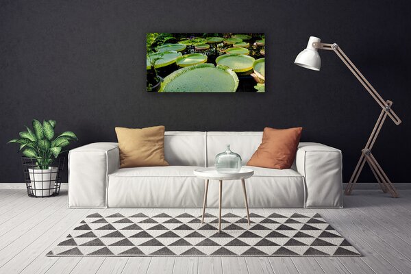Obraz Canvas Listy jazero príroda 100x50 cm