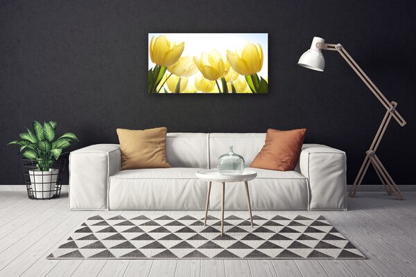 Obraz Canvas Tulipány kvety lúče 100x50 cm