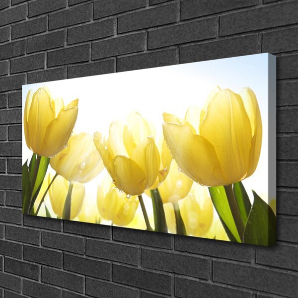 Obraz Canvas Tulipány kvety lúče 100x50 cm
