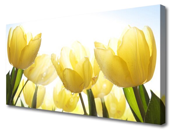 Obraz Canvas Tulipány kvety lúče 100x50 cm