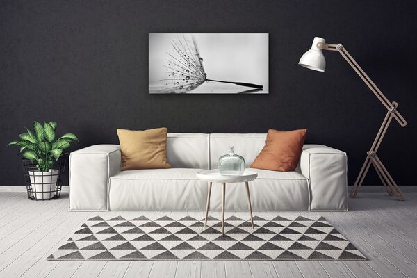 Obraz Canvas Púpava semienka 100x50 cm