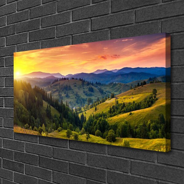 Obraz Canvas Krajina lúka západ 100x50 cm