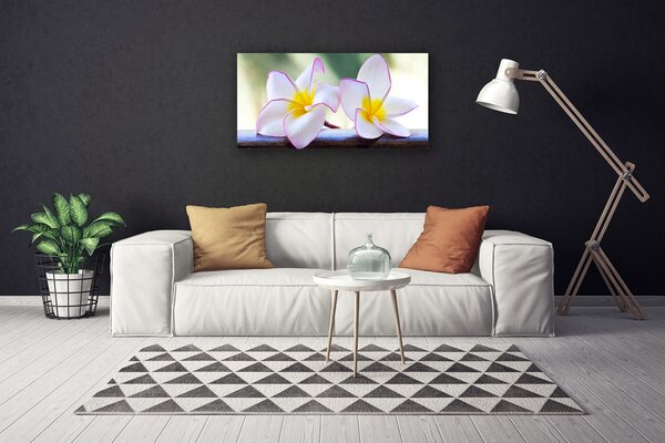Obraz Canvas Kvety plátky plumérie 100x50 cm