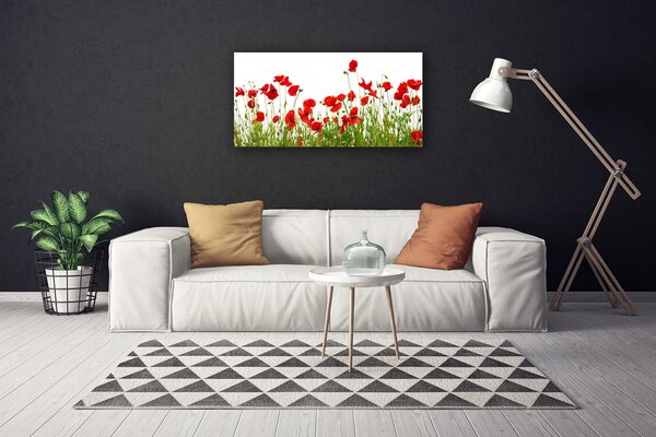 Obraz Canvas Lúka maky kvety príroda 100x50 cm