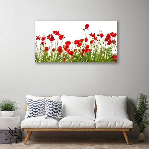 Obraz Canvas Lúka maky kvety príroda 100x50 cm