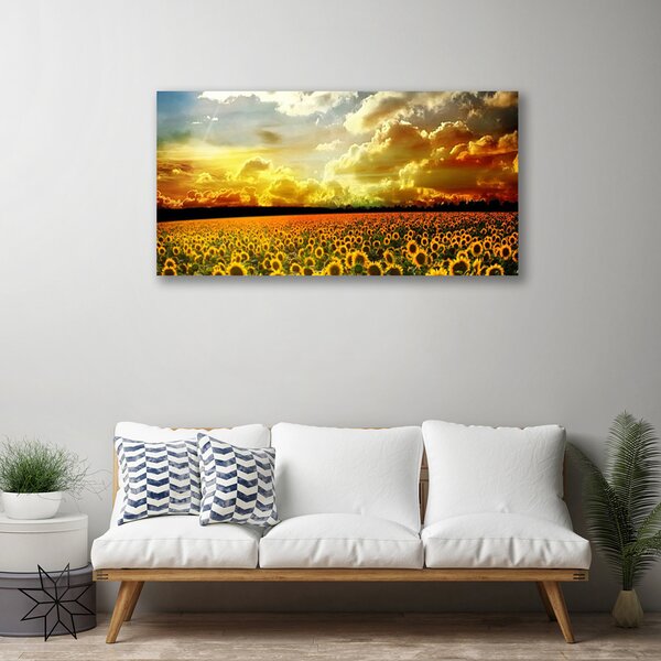 Obraz Canvas Pole slnečníc krajina 100x50 cm
